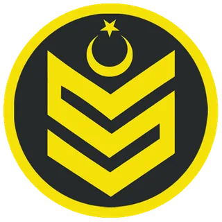 SerdarSari